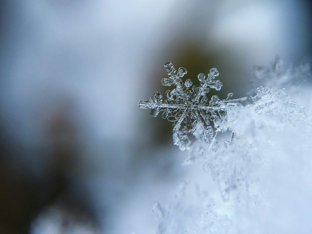 Preparing for winter
