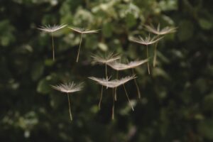 Allergy awareness 2026